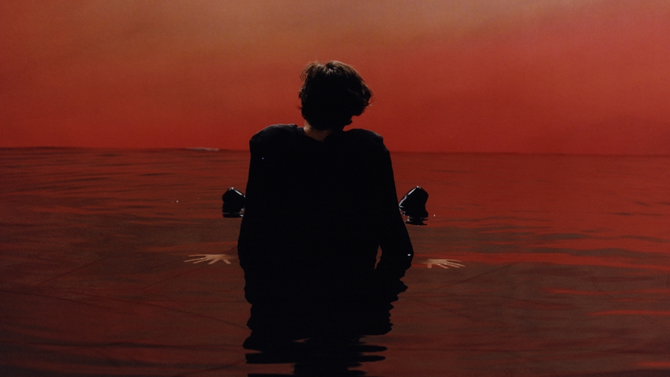 Harry Styles